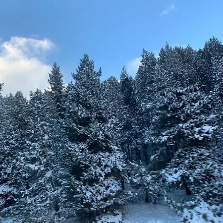La Perle Des Cailloux Exceptionnel Et Cosy Appartamento Font-Romeu-Odeillo-Via