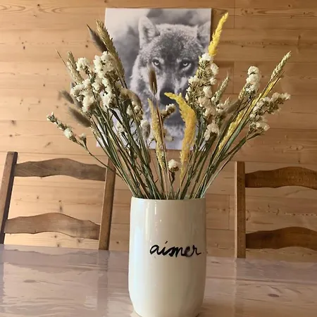 Appartement La Perle Des Cailloux Exceptionnel Et Cosy Font-Romeu-Odeillo-Via