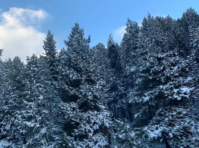 La Perle Des Cailloux Exceptionnel Et Cosy Appartamento Font-Romeu-Odeillo-Via